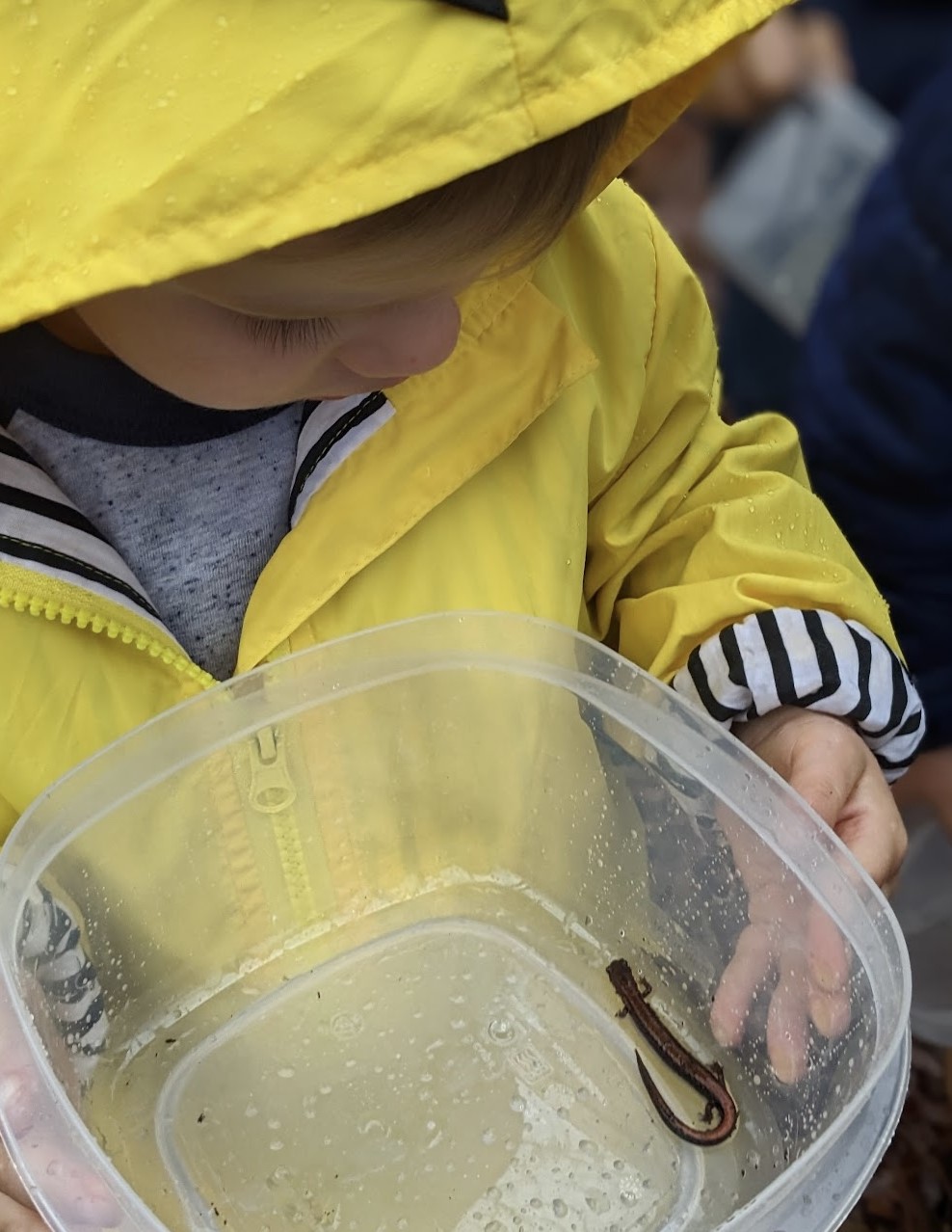 Amphibian Exploration Hike